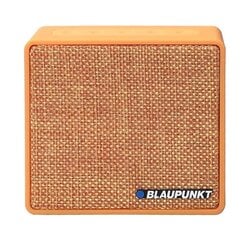 Blaupunkt BT04OR, коричневый цена и информация | Аудиоколонки | 220.lv