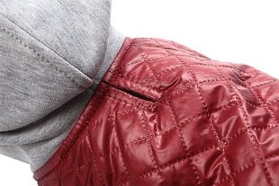 Amiplay куртка Boston, S, бордовый цена и информация | Одежда для собак | 220.lv