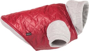 Amiplay куртка Boston, XXL, бордовый цена и информация | Одежда для собак | 220.lv