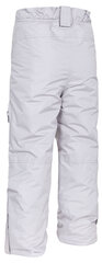 Горнолыжные брюки Trespass Marvelous, platinum цена и информация | Зимняя одежда для детей | 220.lv