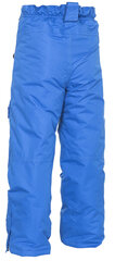 Лыжные брюки Trespass Marvelous, синие цена и информация | Зимняя одежда для детей | 220.lv