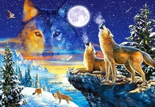 Puzle Puzzle Castorland Howling Wolves, 1000 det. cena un informācija | Puzles, 3D puzles | 220.lv