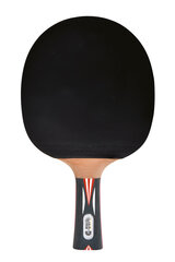 Ракетка для настольного тенниса Donic Top Team 900 цена и информация | Ракетки для настольного тенниса, чехлы и наборы | 220.lv