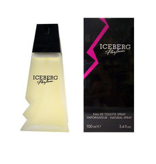 Tualetes ūdens Iceberg Femme EDT 100 ml cena un informācija | Iceberg Smaržas | 220.lv