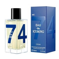 Iceberg Eau de Iceberg Cedar pour Homme EDT, 100 мл цена и информация | Iceberg Духи, косметика | 220.lv