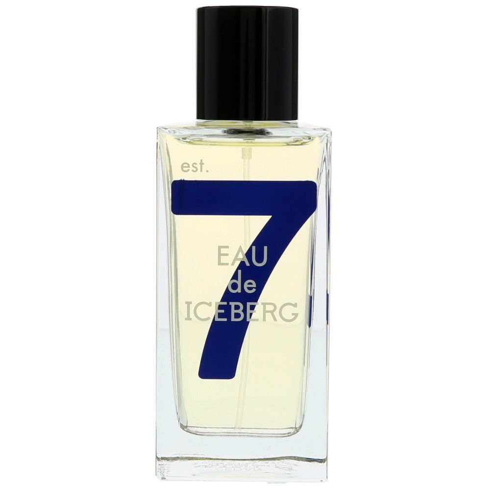 Iceberg Eau de Iceberg Cedar pour Homme EDT 100ml цена и информация | Vīriešu smaržas | 220.lv