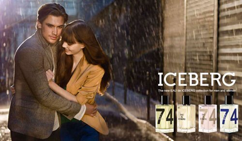 Iceberg Eau de Iceberg Cedar pour Homme EDT 100ml cena un informācija | Vīriešu smaržas | 220.lv