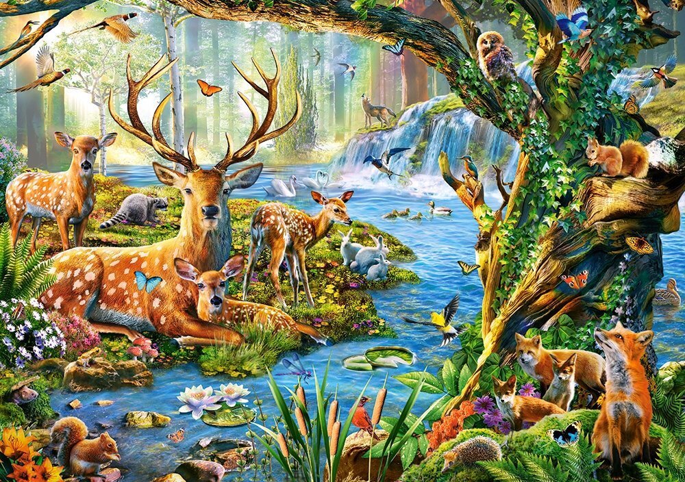 Puzle Puzzle Castorland Forest Life, 500 det. cena un informācija | Puzles, 3D puzles | 220.lv