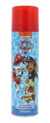 Детская пена для душа Nickelodeon Paw Patrol Mouldable Foam Soap, 250 мл цена и информация | Масла, гели для душа | 220.lv