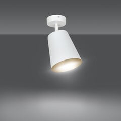 Griestu lampa Emibig PRISM 1 WHITE cena un informācija | Griestu lampas | 220.lv