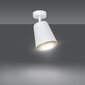 Griestu lampa Emibig PRISM 1 WHITE цена и информация | Griestu lampas | 220.lv