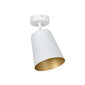 Griestu lampa Emibig PRISM 1 WHITE цена и информация | Griestu lampas | 220.lv