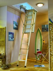 Чердачная лестница DOLLE F30 120 x 70 см цена и информация | Лестницы | 220.lv