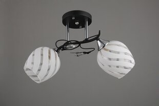 Lampa Lampex Nelson 2 цена и информация | Потолочный светильник | 220.lv