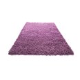 Paklājs Shaggy Light Lavender, 40x60 cm