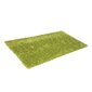 Paklājs Shaggy Light Green, 40x60 cm cena un informācija | Paklāji | 220.lv
