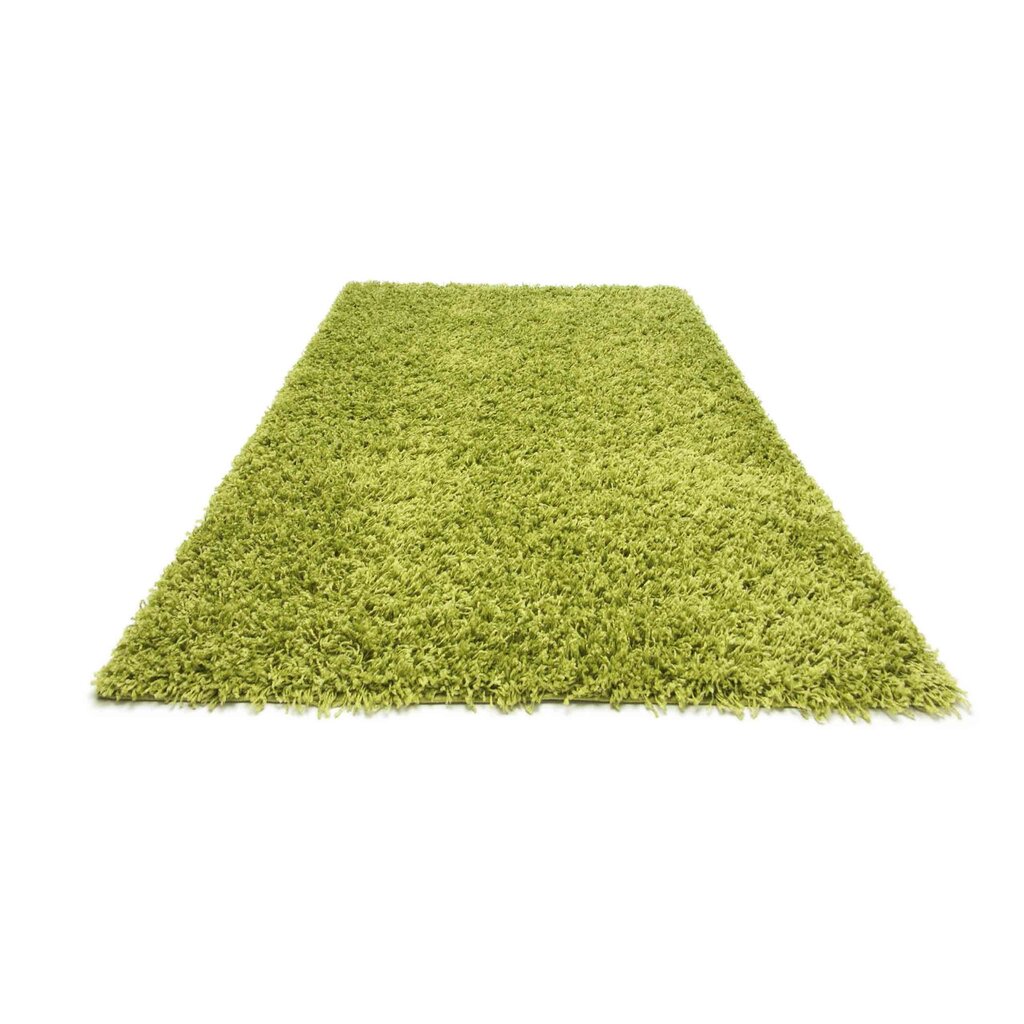 Paklājs Shaggy Light Green, 120x170 cm cena un informācija | Paklāji | 220.lv