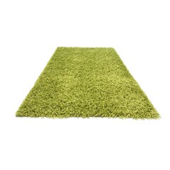 Paklājs Shaggy Light Green, 160x220 cm цена и информация | Ковры | 220.lv