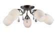 Griestu lampa Lampex Serena 5 цена и информация | Griestu lampas | 220.lv