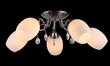 Griestu lampa Lampex Serena 5 цена и информация | Griestu lampas | 220.lv