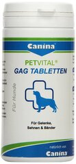 Canina tabletes Petvital GAG N90 cena un informācija | Vitamīni, uztura bagātinātāji, pretparazītu līdzekļi suņiem | 220.lv
