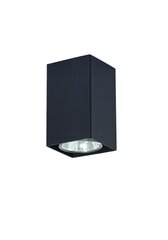 Griestu lampa Lampex Nero Melna cena un informācija | Griestu lampas | 220.lv