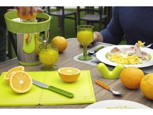 ViceVersa Tix Citrus Juicer green 16612 цена и информация | ViceVersa Бытовая техника и электроника | 220.lv