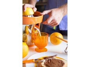 ViceVersa Tix Citrus Juicer orange 16622 цена и информация | Соковыжималки | 220.lv