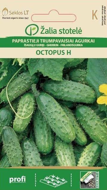 ĪSAUGĻU GURĶI OCTOPUS H цена и информация | Dārzeņu, ogu sēklas | 220.lv