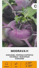 Кольраби MODRAVA H цена и информация | Семена овощей, ягод | 220.lv