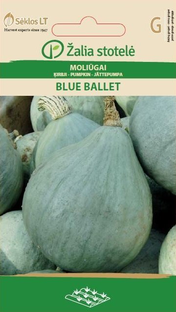 ĶIRBJI BLUE BALLET cena un informācija | Dārzeņu, ogu sēklas | 220.lv