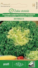 PARASTAIS CIGORIŅŠ MYRNA H цена и информация | Семена овощей, ягод | 220.lv