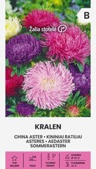 Астры Kralen цена и информация | Семена цветов | 220.lv