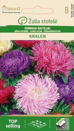 Asteres Kralen цена и информация | Puķu sēklas | 220.lv