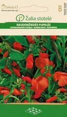 UGUNSSARKANĀS PUPIŅAS цена и информация | Семена цветов | 220.lv