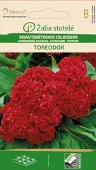 SUDRABAINĀS CELOZIJAS TOREODOR цена и информация | Семена цветов | 220.lv