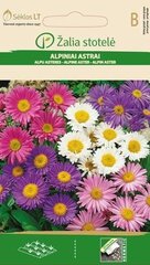 Астра альпийская, смесь цена и информация | Семена цветов | 220.lv