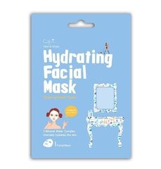 Интенсивно увлажняющая маска для лица Cettua Hydrating Mask, 1 шт. цена и информация | Маски для лица, патчи для глаз | 220.lv