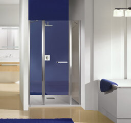 Dušas durvis nišai Sanplast Pristige III DJ2/PR III 110s, profils - manhatans cena un informācija | Dušas durvis, dušas sienas | 220.lv
