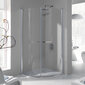 Stūra dušas kabīne Sanplast Prestige III KP2/PR III 80s, profils bahama gaiši brūna cena un informācija | Dušas kabīnes | 220.lv