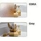 Dušas siena Sanplast TX SS/TX5b 70s, profils- matēts sudrabs, dekorēts stikls Cora цена и информация | Dušas durvis, dušas sienas | 220.lv