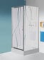 Dušas siena Sanplast TX SS/TX5b 70s, profils- matēts sudrabs, dekorēts stikls W15 cena un informācija | Dušas durvis, dušas sienas | 220.lv