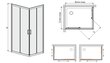 Stūra dušas kabīne Sanplast TX KN/TX5b 80x100s, balts profils, stikls Gray cena un informācija | Dušas kabīnes | 220.lv