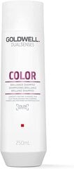 Шампунь для окрашенных волос Goldwell Dualsenses Brilliance Color Shampoo 250 мл цена и информация | Шампуни | 220.lv