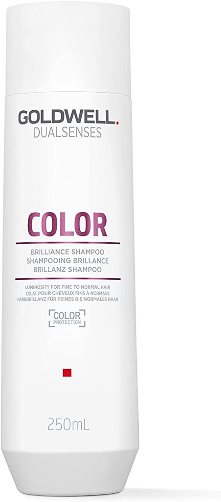 Šampūns krāsotiem matiem Goldwell Dualsenses Color, 250 ml цена и информация | Šampūni | 220.lv