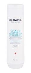 Goldwell Dualsenses Scalp Specialist šampūns pret blaugznām 250ml цена и информация | Шампуни | 220.lv