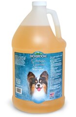 Bio Groom šampūns Protein/Lanolin, 3.8 l ar kokosrieksta eļļu cena un informācija | Kosmētiskie līdzekļi dzīvniekiem | 220.lv