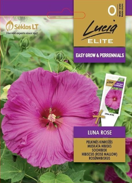 MUSKATA HIBISKS LUNA ROSE cena un informācija | Puķu sēklas | 220.lv