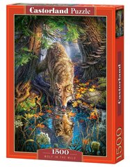 Пазл Puzzle Castorland Wolf in the Wild, 1500 дет. цена и информация | Пазлы | 220.lv