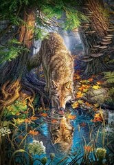 Puzle Puzzle Castorland Wolf in the Wild, 1500 det. cena un informācija | Puzles, 3D puzles | 220.lv
